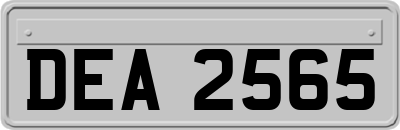 DEA2565