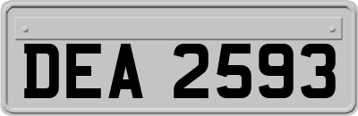 DEA2593