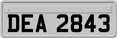 DEA2843