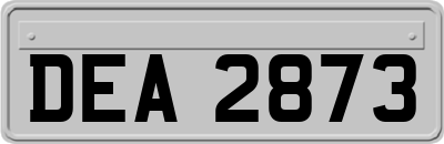 DEA2873