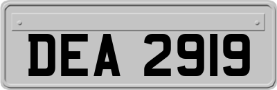 DEA2919
