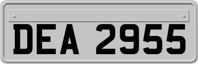 DEA2955
