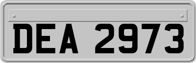 DEA2973