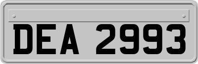 DEA2993