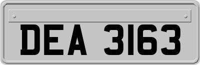 DEA3163