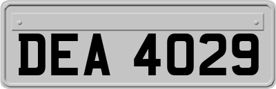 DEA4029