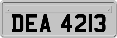 DEA4213