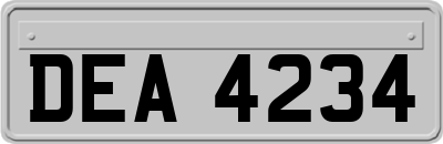 DEA4234