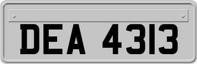 DEA4313
