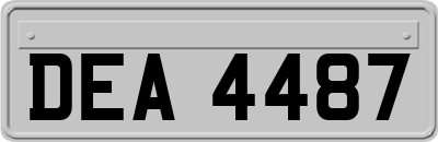 DEA4487
