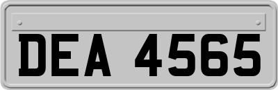DEA4565