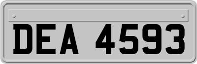 DEA4593