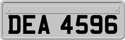 DEA4596
