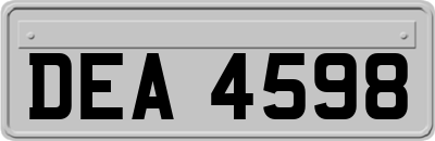 DEA4598