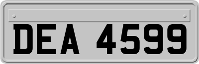 DEA4599