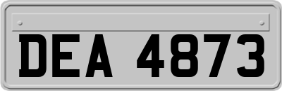 DEA4873
