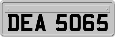 DEA5065