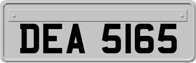 DEA5165