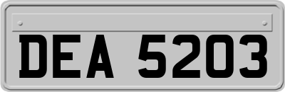 DEA5203