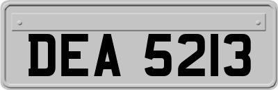 DEA5213
