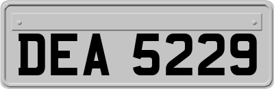 DEA5229