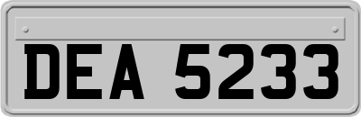 DEA5233