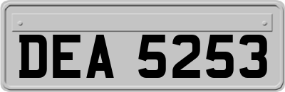 DEA5253
