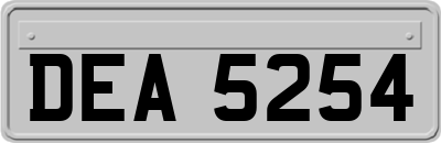 DEA5254
