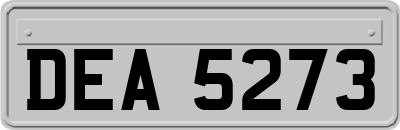 DEA5273