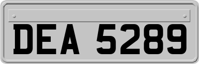 DEA5289