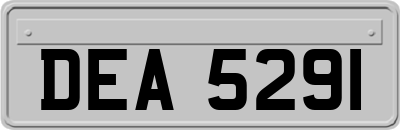 DEA5291
