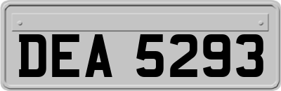 DEA5293