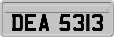 DEA5313