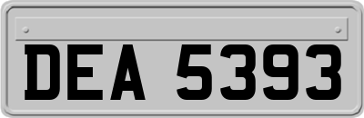 DEA5393