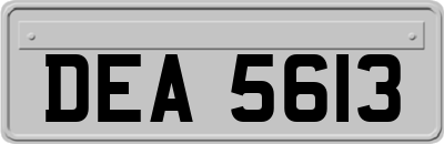 DEA5613