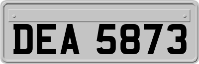 DEA5873