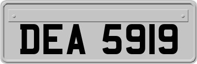 DEA5919