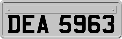 DEA5963
