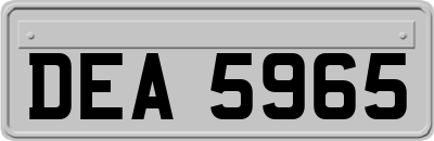 DEA5965
