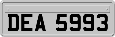 DEA5993