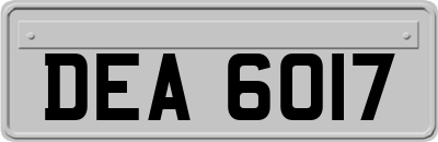 DEA6017