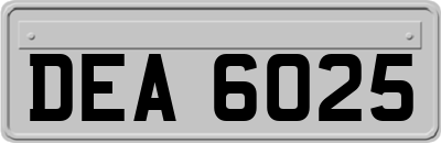 DEA6025