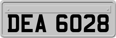 DEA6028
