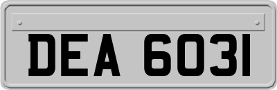 DEA6031
