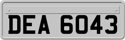DEA6043