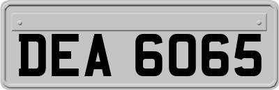 DEA6065