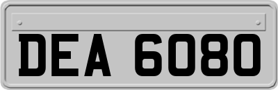 DEA6080