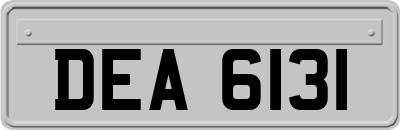 DEA6131