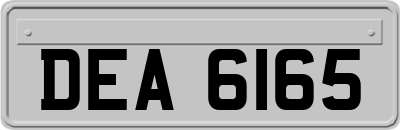 DEA6165