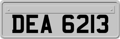 DEA6213